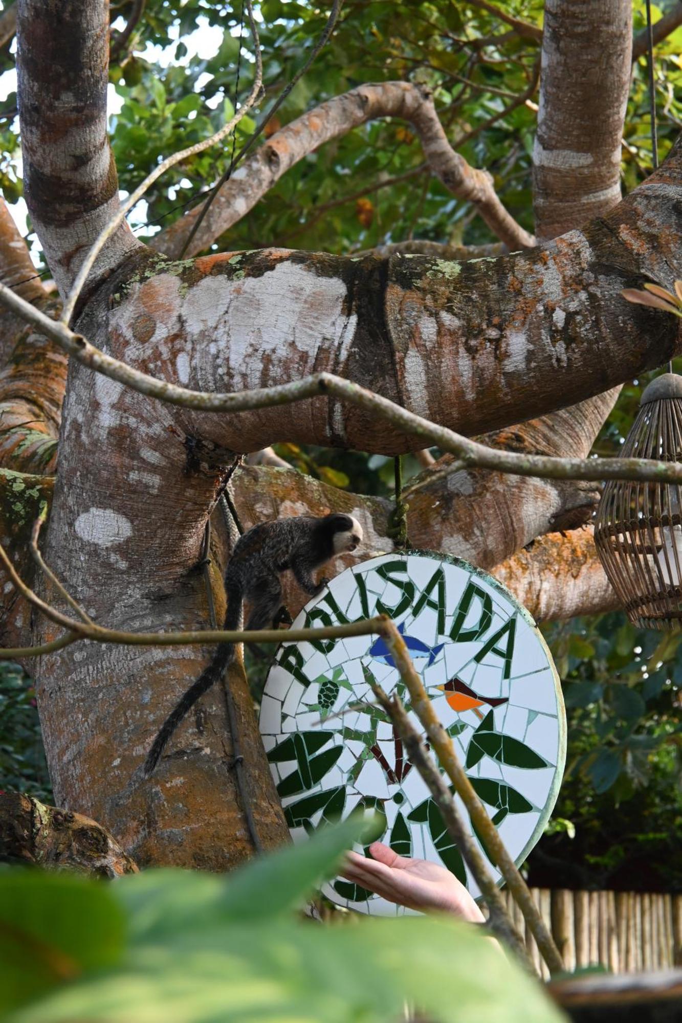 Pousada Habitat Caraíva Exteriör bild